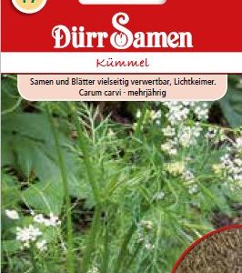 Ким (Carum carvi)