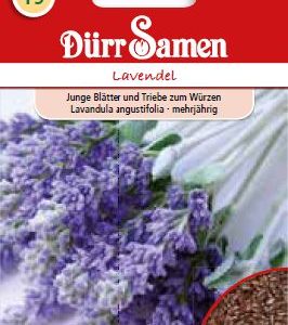 Лавандула (Lavandula angustifolia)