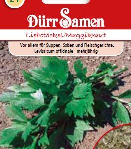 Девисил (Levisticum officinale)