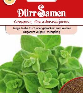 Риган (Origanum vulgare) – обикновен