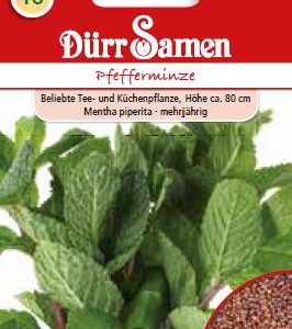 Мента (Mentha piperita)