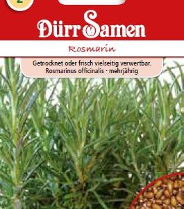 Розмарин (Rosmarinus officinalis)