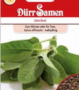 Салвия (Salvia officinalis)
