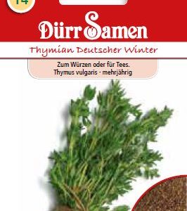 Мащерка (Thymus vulgaris)