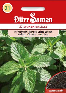 Маточина (Melissa officinalis)