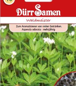 Лазаркиня (Asperula odorata)