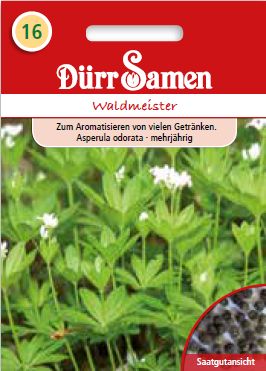 Лазаркиня (Asperula odorata)