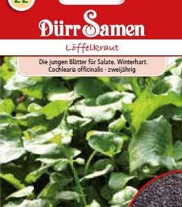 Кохелеариа (Cochlearia officinalis)