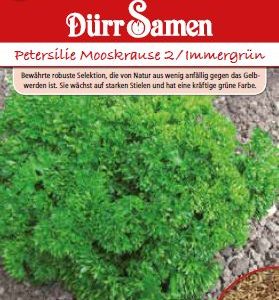 Магданоз Мооскраузе 2  (Petroselinum crispum)