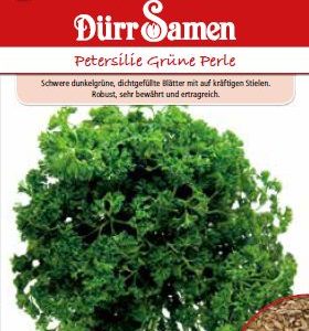 Магданоз Зелена перла (Petroselinum crispum)