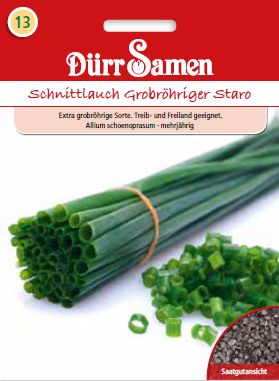 Див лук (Allium schoenoprasum)