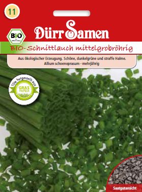 Див лук Нели (Allium schoenoprasum) БИО