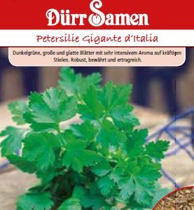 Магданоз Гигант (Petroselinum crispum)