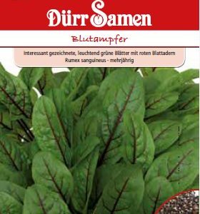 Лапад (Rumex sanguineus)