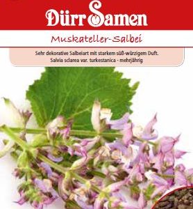 Салвия Мускателер (Salvia officinalis)