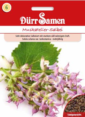 Салвия Мускателер (Salvia officinalis)