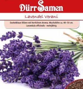 Лавандула (Lavandula officinalis)