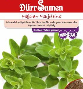 Риган (Origanum majorana)