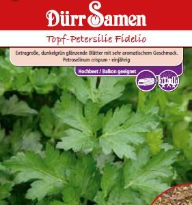 Магданоз Фиделио (Petroselinum crispum)