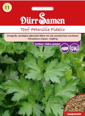 Магданоз Фиделио (Petroselinum crispum)