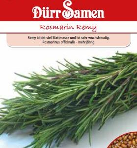 Розмарин Реми (Rosmarinus officinalis)
