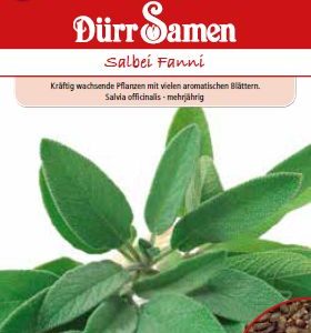 Салвия Фани (Salvia officinalis)